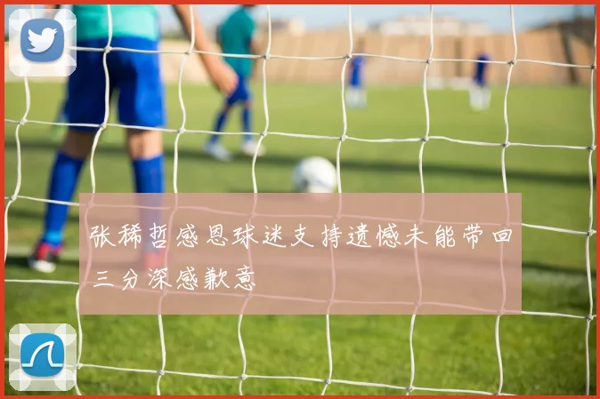 张稀哲感恩球迷支持遗憾未能带回三分深感歉意