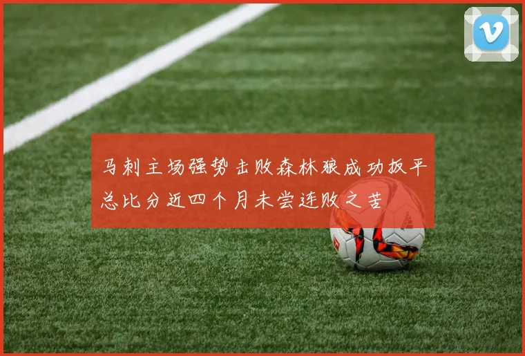 马刺主场强势击败森林狼成功扳平总比分近四个月未尝连败之苦