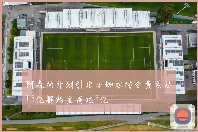 阿森纳计划引进小蜘蛛转会费或达15亿解约金高达5亿
